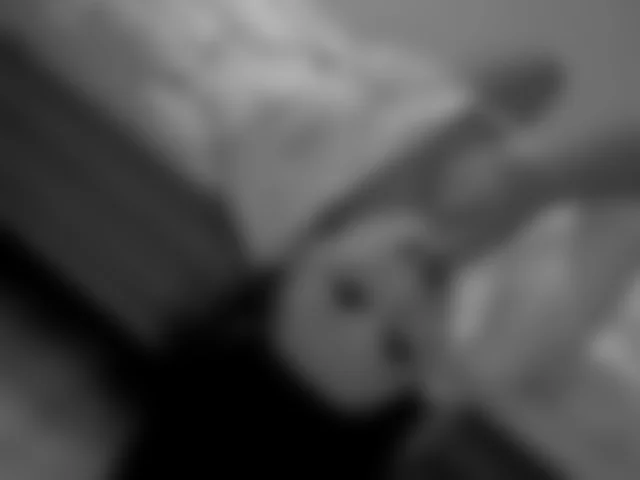Rainbow77 image 0